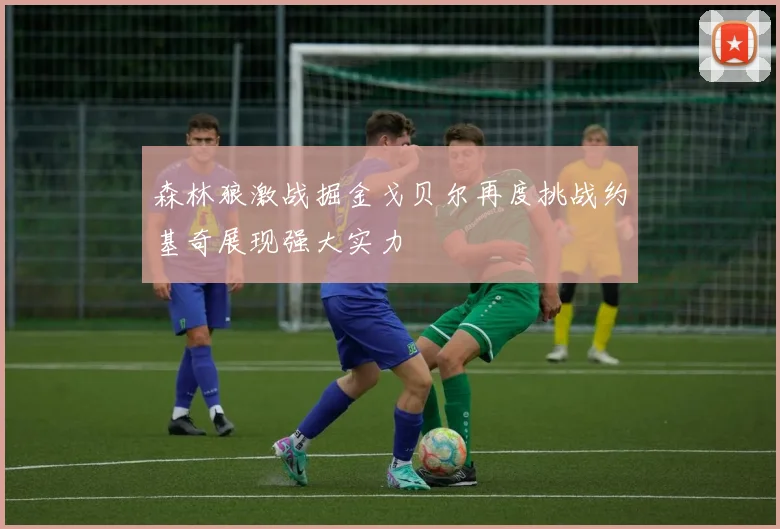 森林狼激战掘金戈贝尔再度挑战约基奇展现强大实力