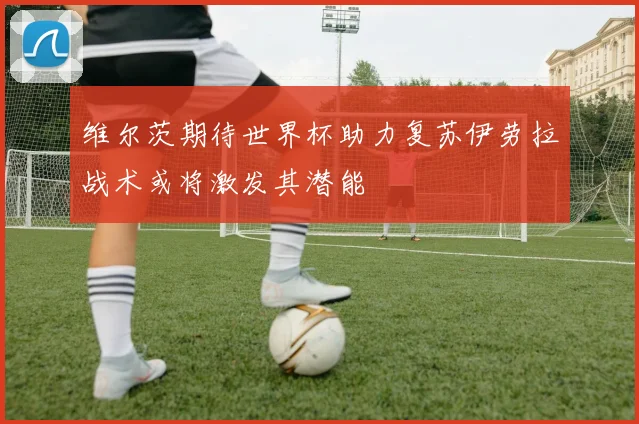维尔茨期待世界杯助力复苏伊劳拉战术或将激发其潜能