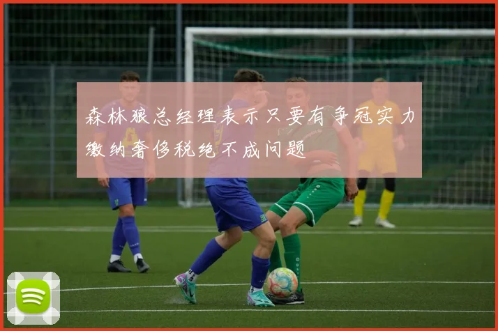 森林狼总经理表示只要有争冠实力缴纳奢侈税绝不成问题